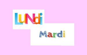 EXPERT - SENIOR OPEN x 4