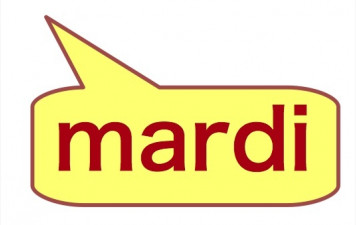 PERFORMANCE - SENIOR MIXTE x 2