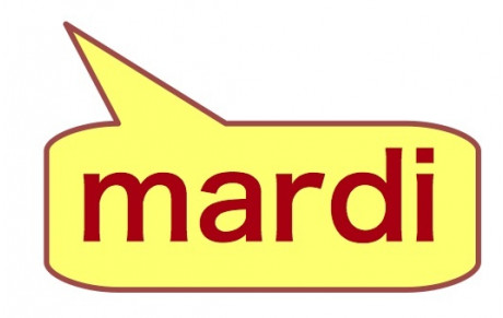 EXPERT - SENIOR MIXTE x 2